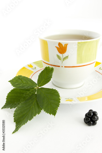 Foto: Brombeertee (Rubus fruticosus) Brombeertee (Rubus fruticosus)