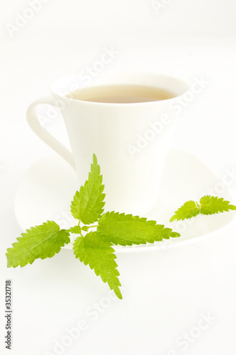 Foto: Brennnesseltee (Urtica dioica) Brennnesseltee (Urtica dioica)