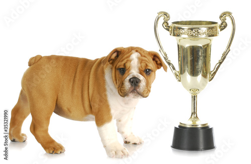 Photo: puppy with trophy puppy with trophy