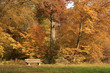 herbst