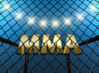 Fight cage , 3d illustration