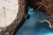 Rost Rost