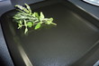 geschmorter Fenchel mit Parmaschinken