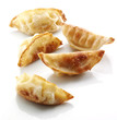 Fried Chinese Dumplings Fried Chinese Dumplings