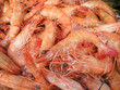 Shrimp
