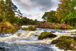 Autumn mountain stream in Killarney National Park, Ireland