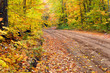 Beautiful Autumn
