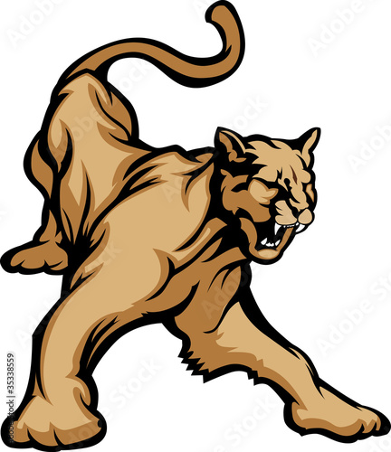 Vector: Cougar Mascot Body Vector Illustration Cougar Mascot Body Vector Illustration