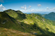 Carpathian mountains: Beautiful landscape in summer