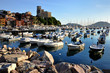 Lerici port and castle view