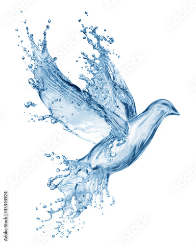 Foto: dove made out of water splashes dove made out of water splashes