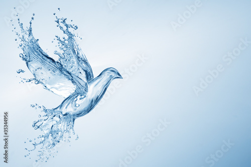 Photo: dove made out of water splashes dove made out of water splashes