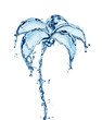 palmtree made out of water splashes palmtree made out of water splashes