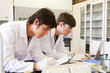 Chemistry students writing a report