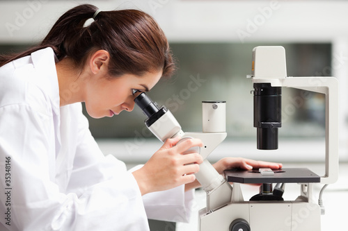 Photo: Focused female science student looking in a microscope Focused female science student looking in a microscope
