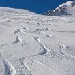 Ski and snowboard tracks on powder snow