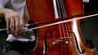 violoncello, particolare