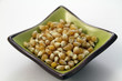 grains de maïs bio