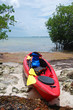 kayak expedition