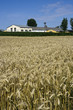 country farm country farm