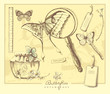 Entomology