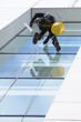 Window cleaner