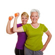 Zwei Frauen machen Hanteltraining