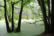 Insel Rügen, Nationalpark Jasmund