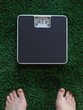 Bathroom Scales