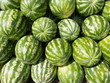 Watermelons heap