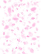 桜吹雪