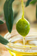 Olive oil