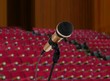 Microphone in lecturer hall