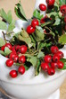 Weißdorne (Crataegus) Beeren Heilpflanze