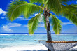 Empty hammock between palm trees Empty hammock between palm trees