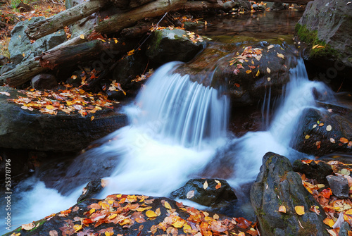 Photo: Autumn creek Autumn creek