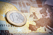 L'euro