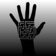 labyrinth of the human hand