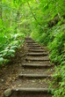 登山路
