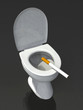 toilet smoking