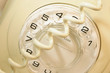 Telephone Dial