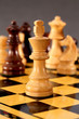 Chess king