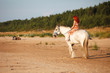 Woman with horse at the beach