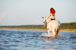 Photo: Woman swimming with horse Woman swimming with horse