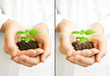Save the planet - young plant