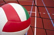 Ball and net