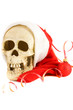 skull isolated on the white background
