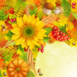 Autumn background