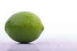 Limette