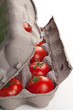Tomaten im Eierkarton 4